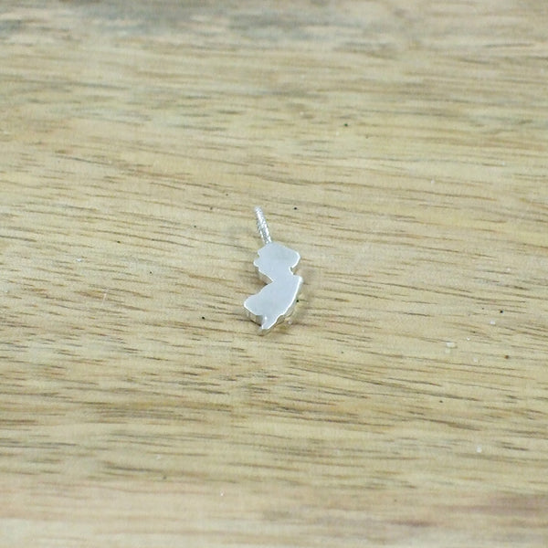 Pequeño New Jersey Pendant