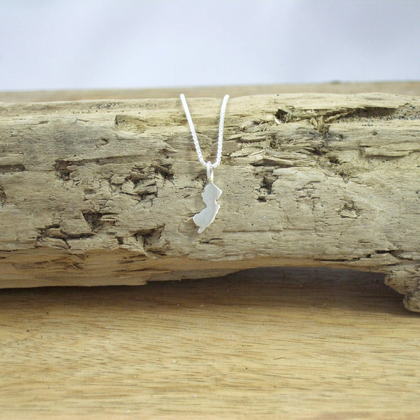 Pequeño New Jersey Pendant