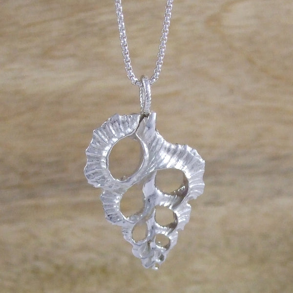 Sterling Silver Frilly Shell Slice Necklace
